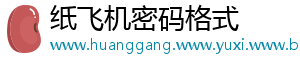 纸飞机密码格式
